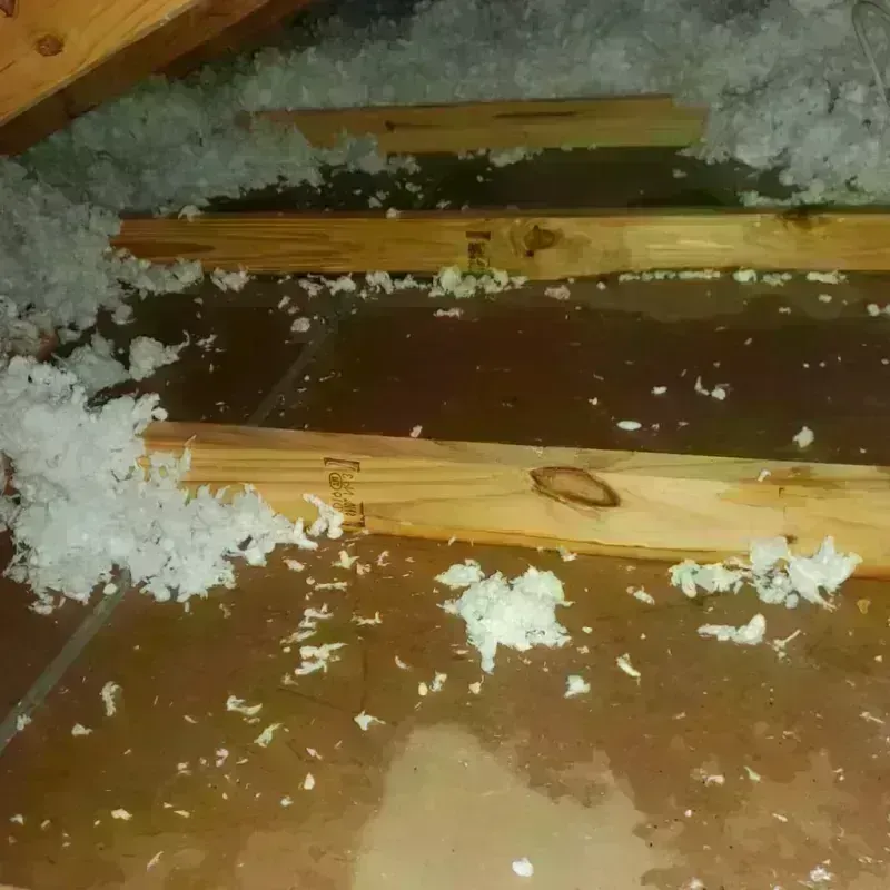 Attic Water Damage in Ambler, PA